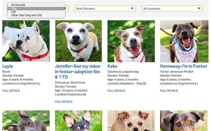 Custom Dakin Pet Search Filter